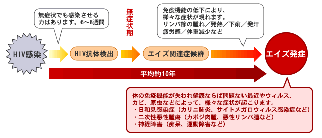 図：HIV感染からエイズ発症まで