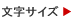 �����T�C�Y�ύX